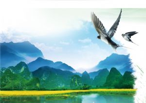 聚焦高考&mdash;&mdash;綠水青山，我們押中了！