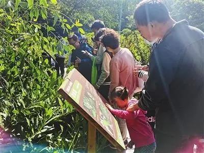 珠海淇澳紅樹林&ldquo;鳥類大觀園&rdquo;向公眾開放