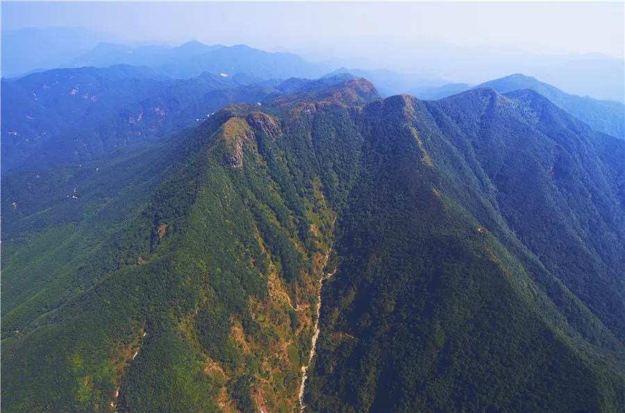 云?。簢?yán)防森林火災(zāi) 堅(jiān)決守護(hù)綠水青山