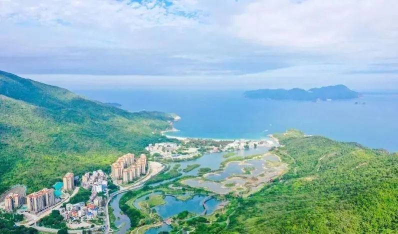 即將對外開放！深圳大鵬新建一紅樹林濕地公園